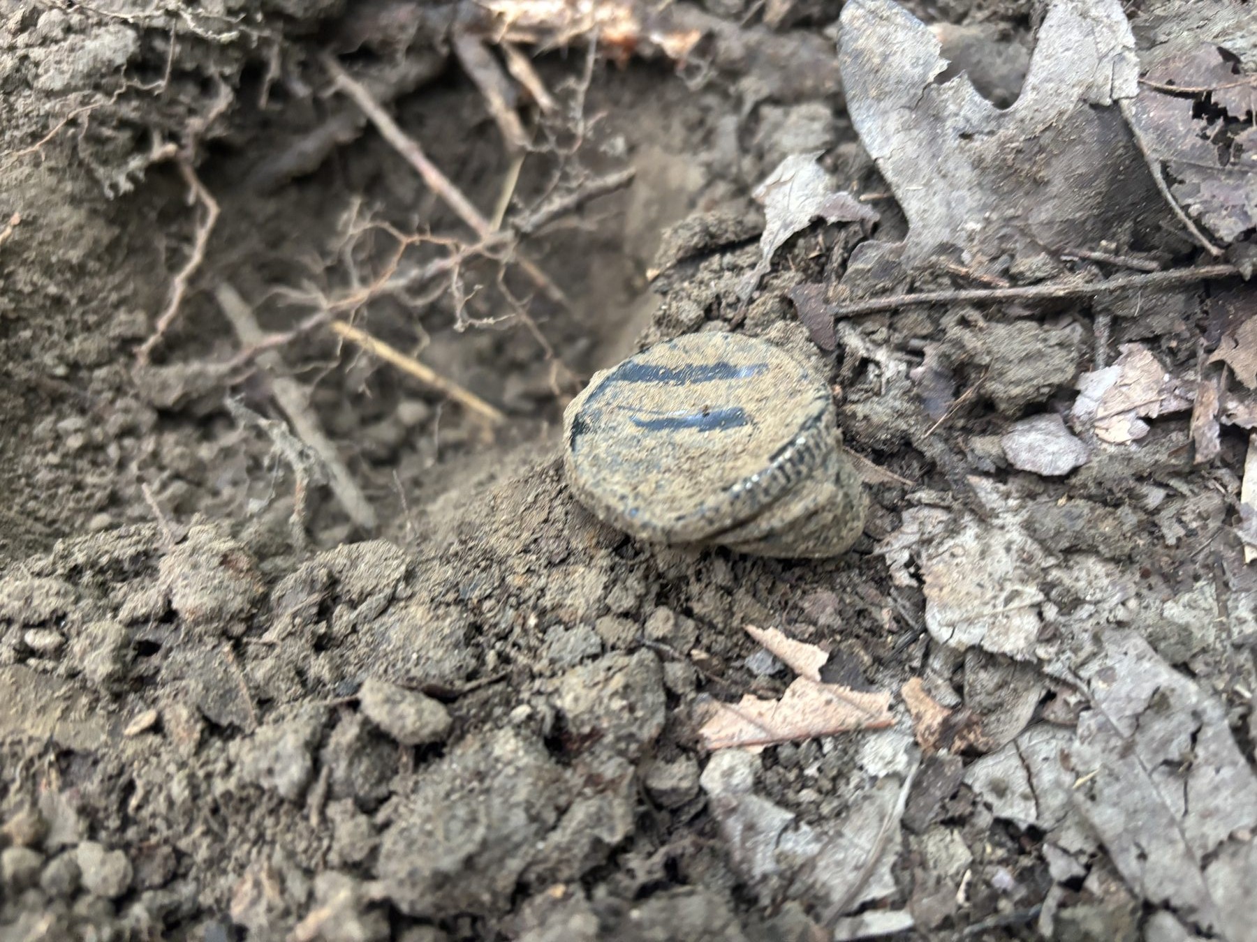 A corroded bottle cap sitting in dirt