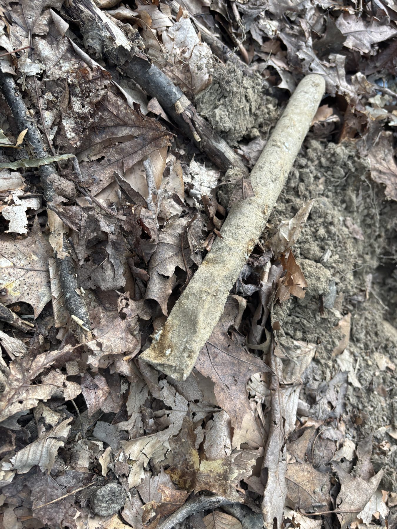 A corroded metal tube lying in leaf litter