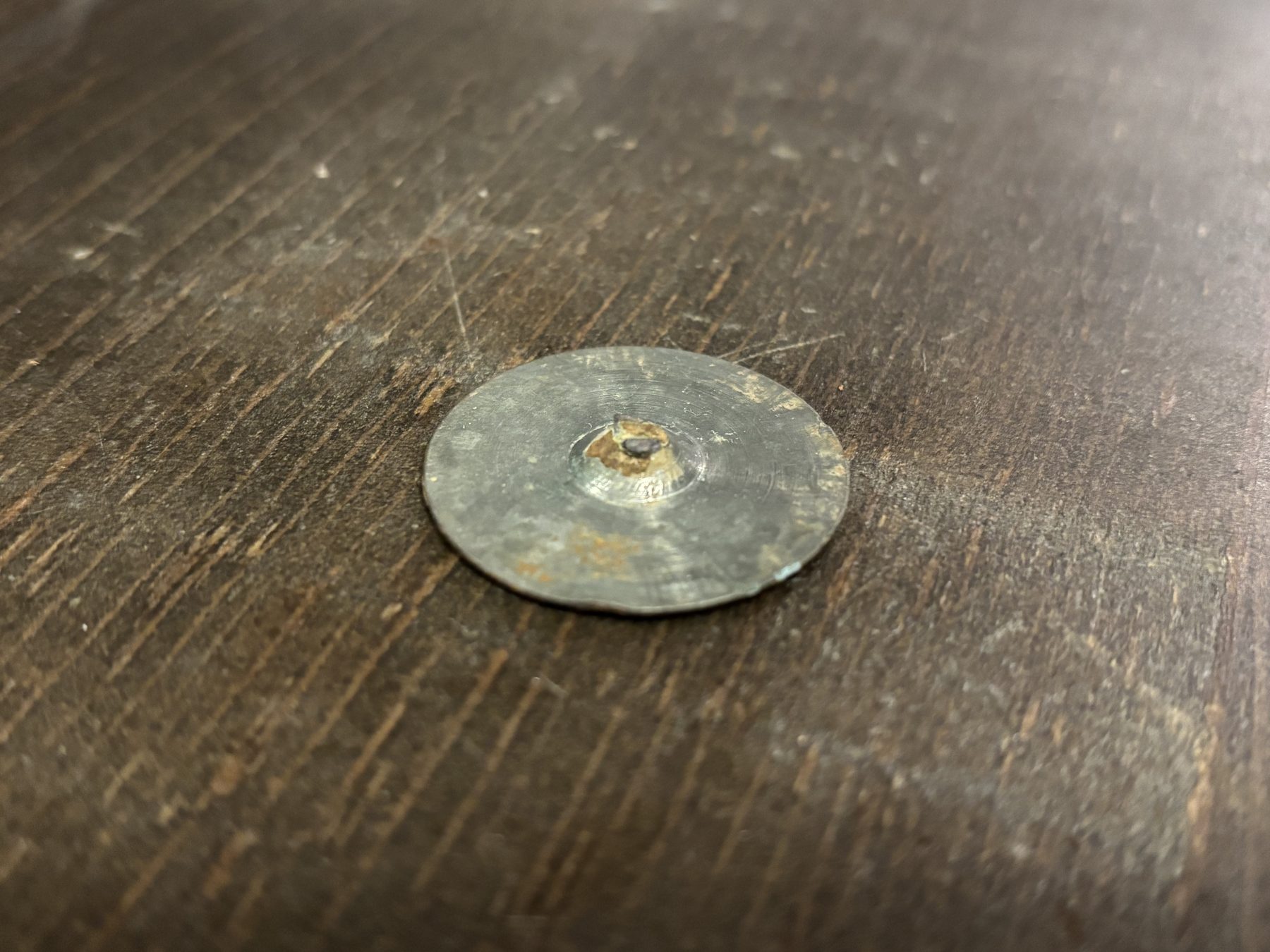The cleaned button, back face, showing the alpha-loop shank